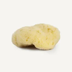 gabka-naturalna-srodziemnomorska-9-10-cm-najel