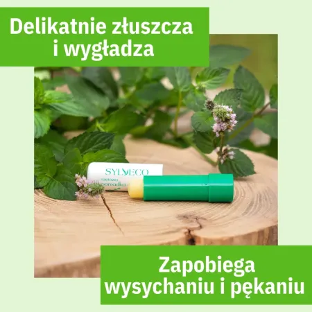 SYLVECO Miętowa Pomadka z Peelingiem z Betuliną - 4,6 g