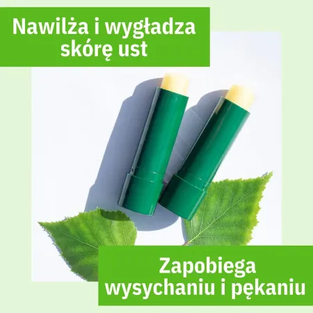sylveco-brzozowa-pomadka-ochronna-z-betulina-bezzapachowa-4-g