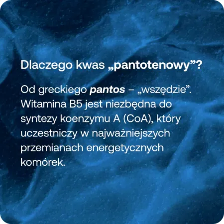Formeds Bicaps B5 - 60 kapsułek